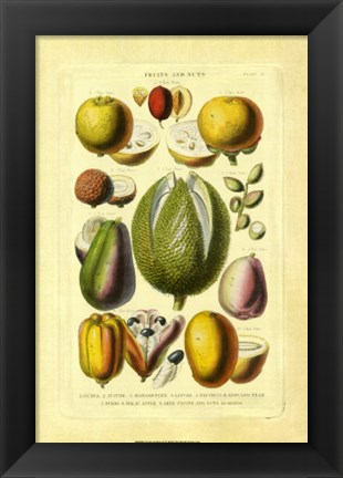 Framed Fruits and Nuts II Print