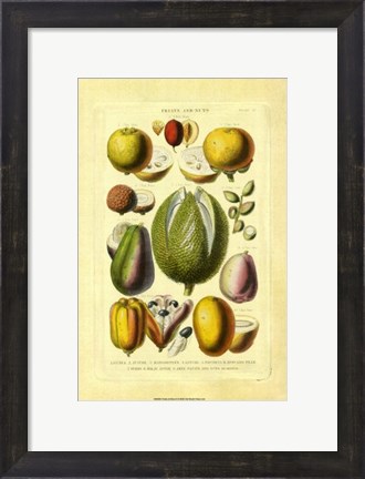 Framed Fruits and Nuts II Print