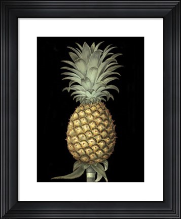 Framed Brookshaw's Exotic Pineapple I Print