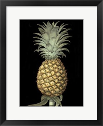 Framed Brookshaw&#39;s Exotic Pineapple I Print