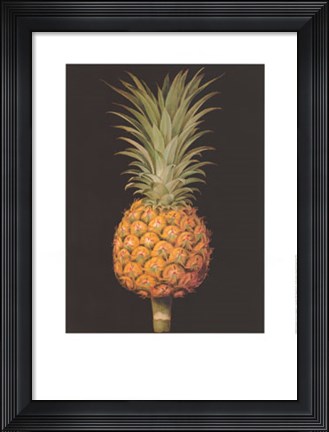 Framed Brookshaw&#39;s Exotic Pineapple II Print