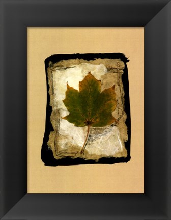 Framed Kyoto Leaves V Print