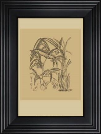 Framed Orchid on Khaki(WG) I Print