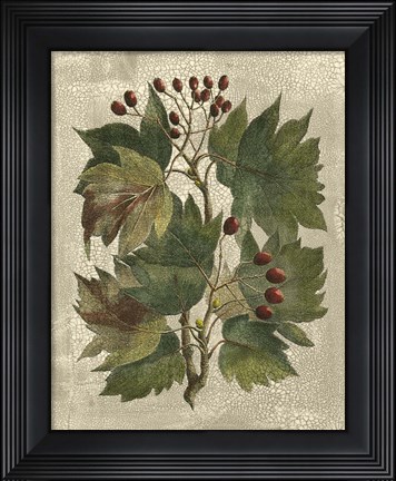 Framed Printed Deshayes Trees I Print
