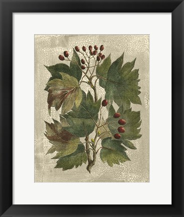 Framed Printed Deshayes Trees I Print