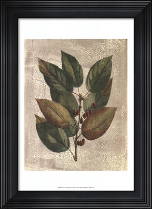 Framed Printed Deshayes Trees IV Print