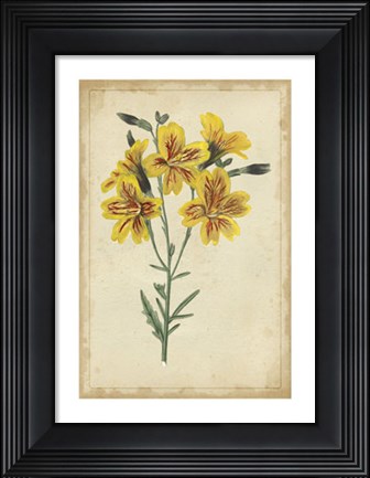 Framed Curtis Blooms in Yellow IV Print