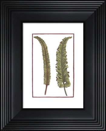 Framed Vintage Leaf I Print