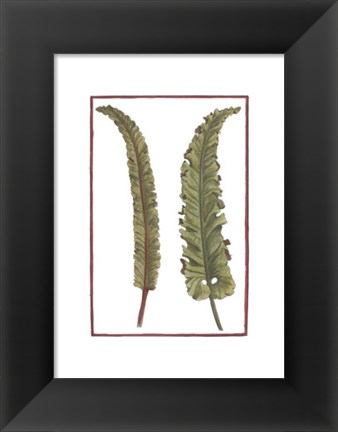 Framed Vintage Leaf I Print