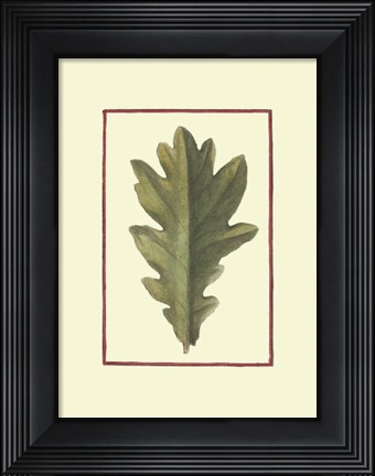 Framed Vintage Leaf IV Print