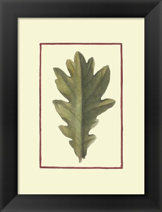 Framed Vintage Leaf IV Print