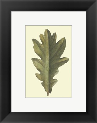 Framed Vintage Leaf IV Print