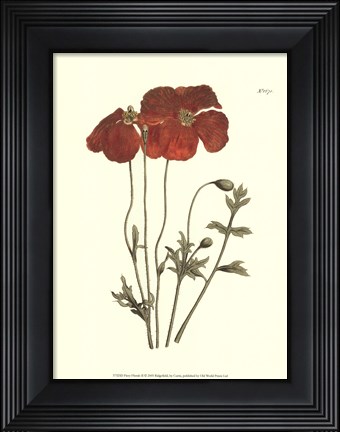 Framed Fiery Florals II Print
