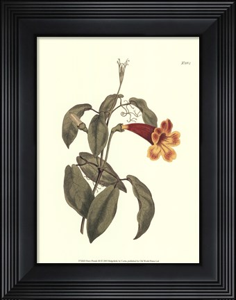 Framed Fiery Florals III Print