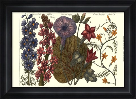 Framed Printed Arena Botanical IV Print