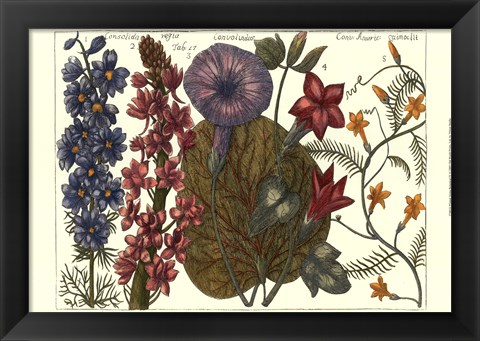 Framed Printed Arena Botanical IV Print