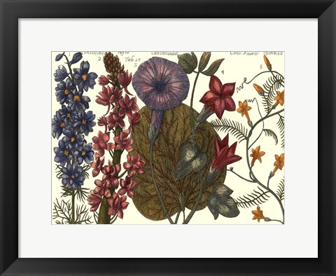 Framed Printed Arena Botanical IV Print
