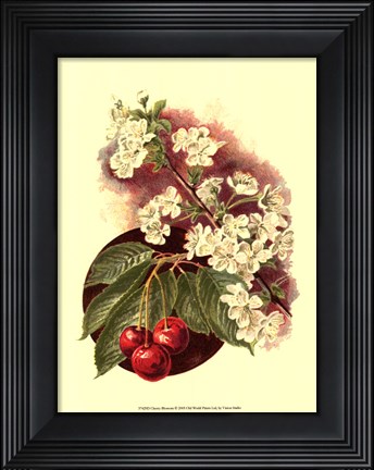 Framed Cherry Blossom Print