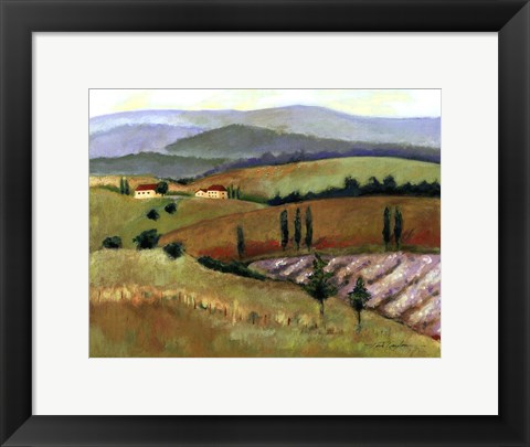 Framed Tuscany Afternoon II Print