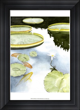 Framed Koi Reflection I Print