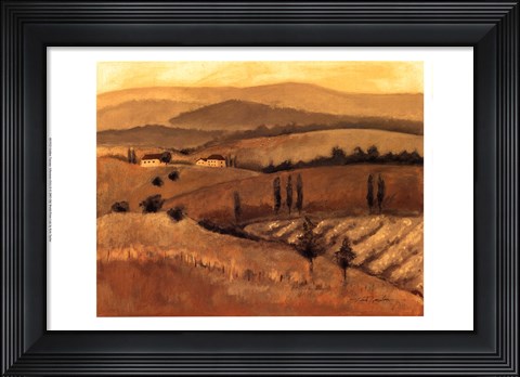 Framed Golden Tuscany Afternoon II Print