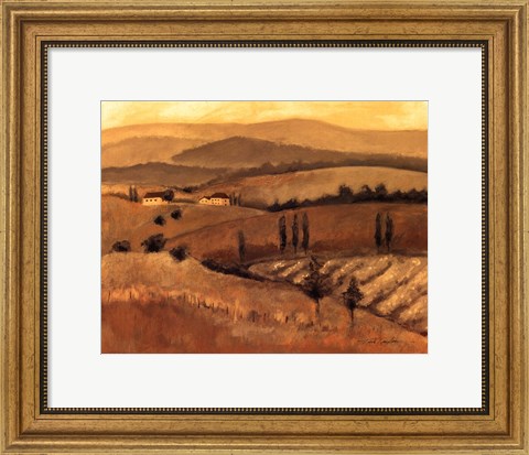 Framed Golden Tuscany Afternoon II Print