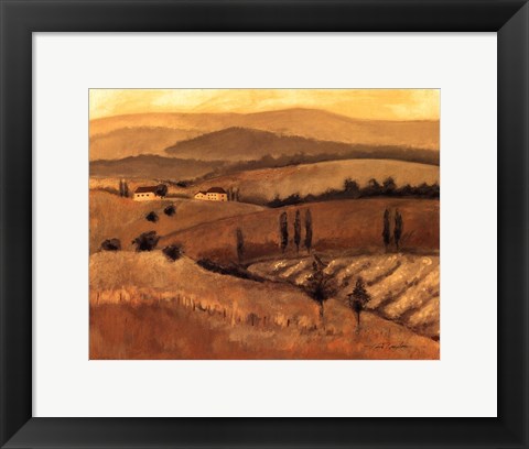 Framed Golden Tuscany Afternoon II Print