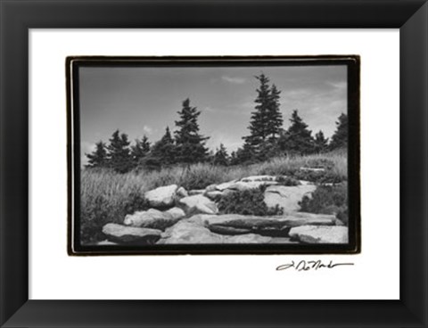 Framed Rocky Green Print