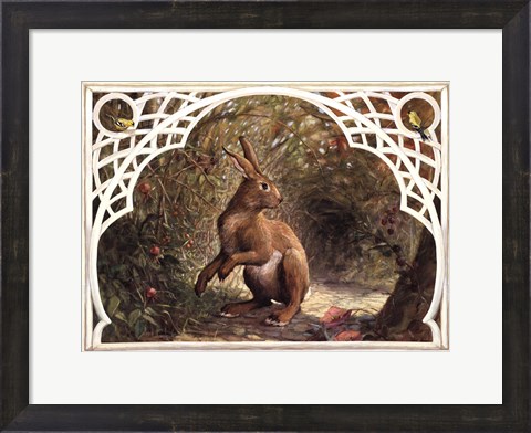Framed Missy Rabbit Print