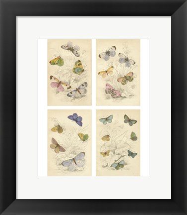 Framed Jardini Butterflies Print