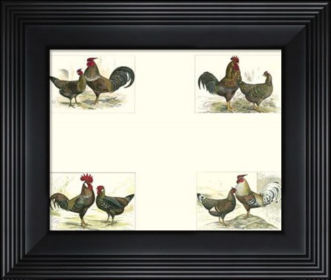 Framed Miniature Roosters Print