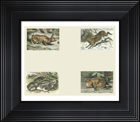 Framed Micro Bunnies Print