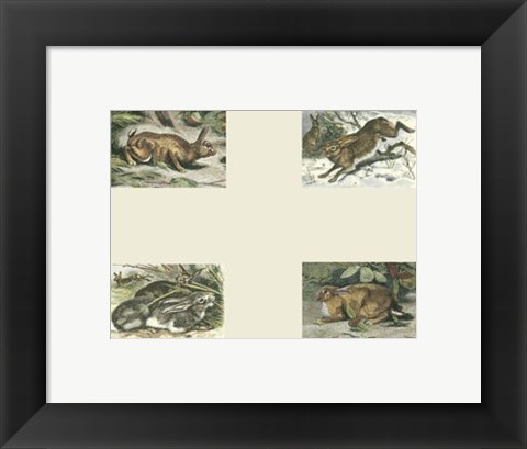 Framed Micro Bunnies Print