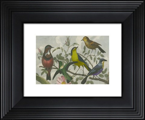 Framed Exotic Bird VI Print