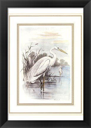 Framed White Heron Print