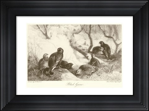 Framed Black Game Print