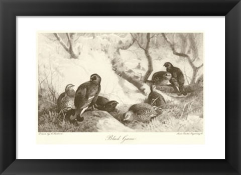 Framed Black Game Print