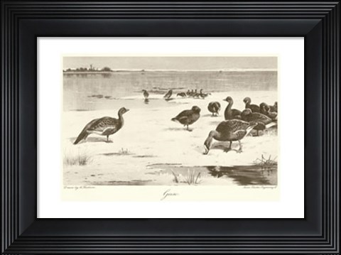 Framed Geese Print