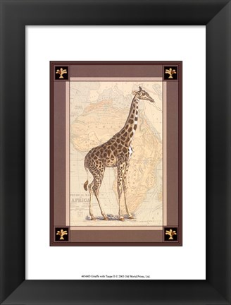 Framed Giraffe with Border II Print