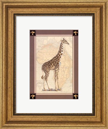 Framed Giraffe with Border II Print