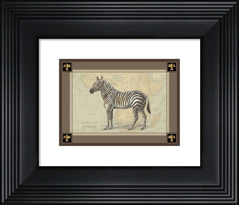 Framed Zebra with Border I Print