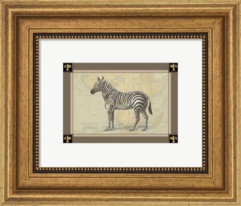 Framed Zebra with Border I Print