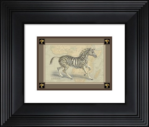 Framed Zebra with Border II Print