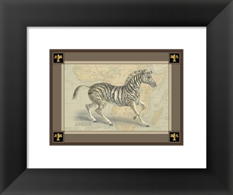 Framed Zebra with Border II Print