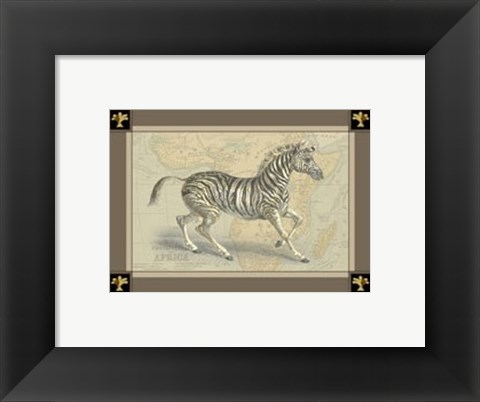 Framed Zebra with Border II Print