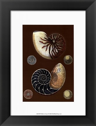 Framed Shells on Cocoa I Print