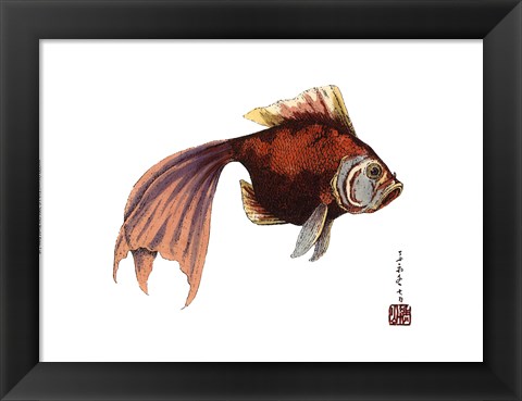 Framed Oriental Fish I Print