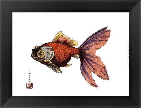 Framed Oriental Fish II Print