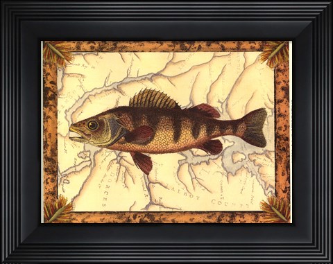 Framed Yellow Perch on Map Print