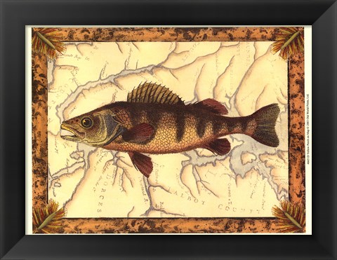 Framed Yellow Perch on Map Print